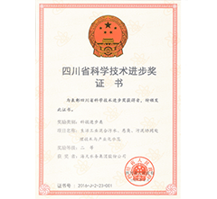 四川省科技进步奖二等奖