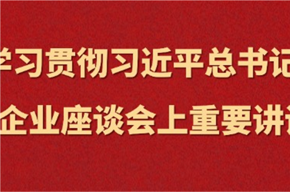 壹定发最新官方网站集团集中学习习近平总书记在民营企业座谈会上重要讲话精神